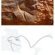 Camel head number 8. (Image: G. Charloux et al., 2018)